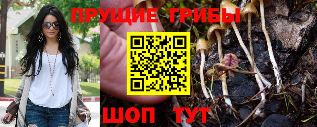 Псилоцибиновые грибы мицелий Кызыл